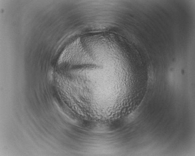 X0000051880166200507081922