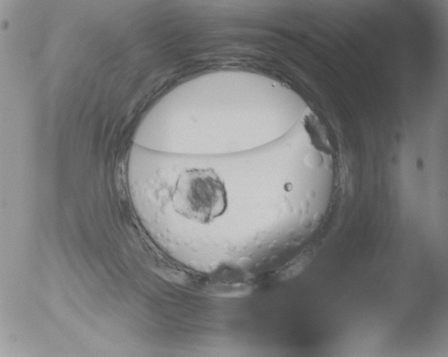 X0000051880169200507081922