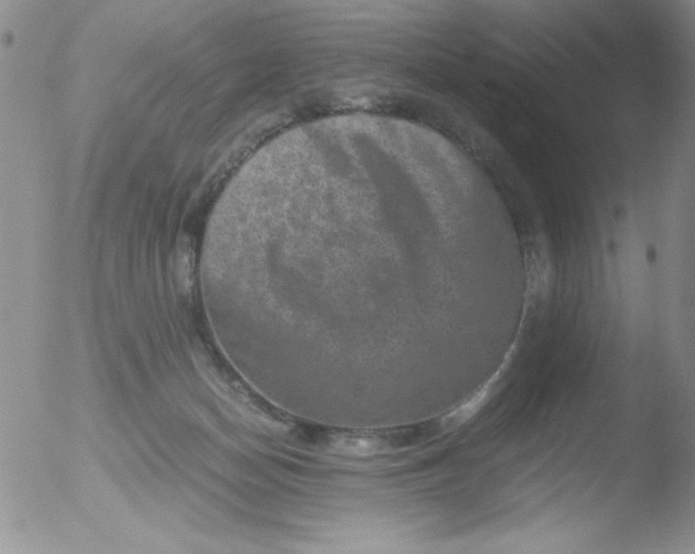 X0000051880174200507081922