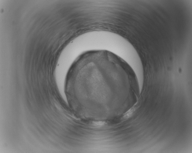 X0000051880176200507081922