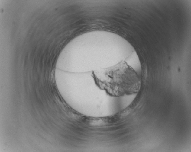 X0000051880177200507081922