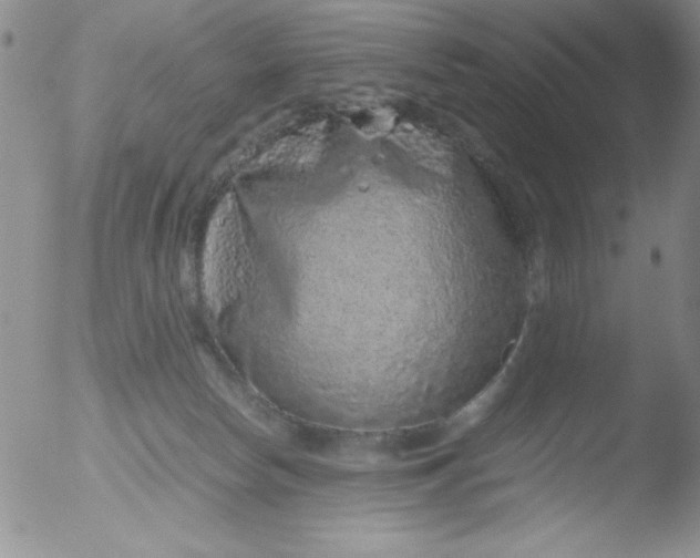 X0000051880178200507081922