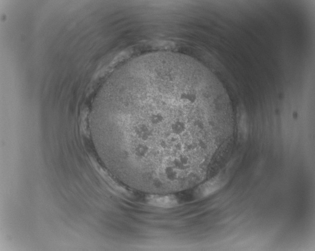 X0000051880185200507081923