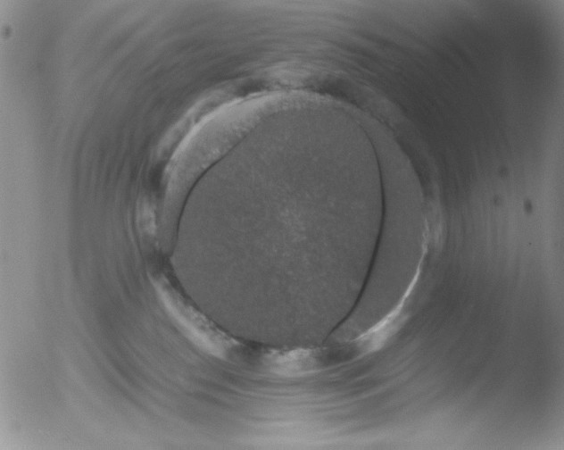 X0000051880186200507081923