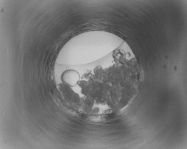 X0000051880187200507081923