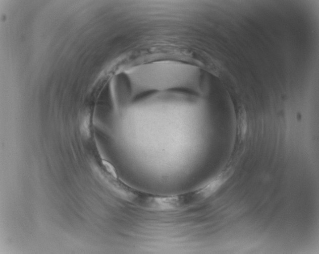 X0000051880188200507081923