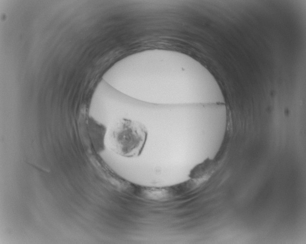 X0000051880189200507081923