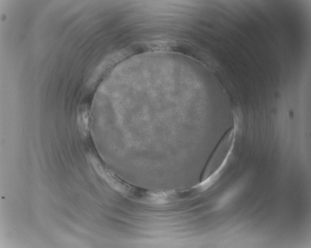 X0000051880190200507081923