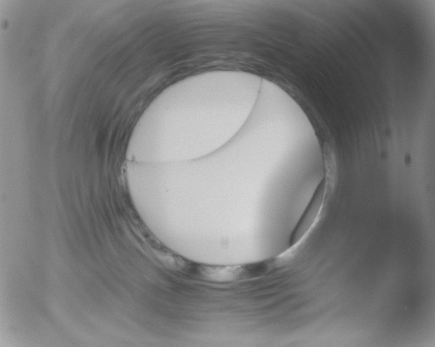 X0000051880191200507081923