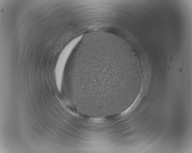 X0000051880192200507081923