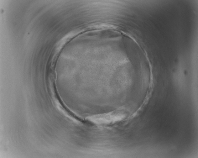 X0000051880193200507081922