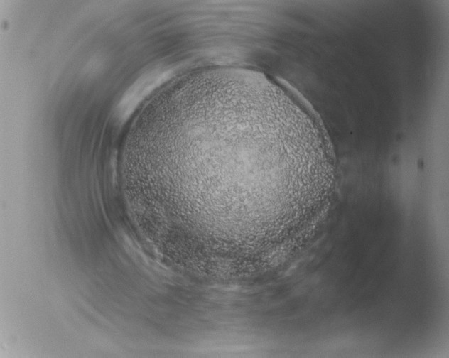 X0000051880194200507081922