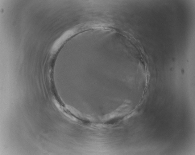 X0000051880197200507081922