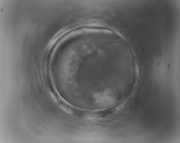 X0000051880199200507081922