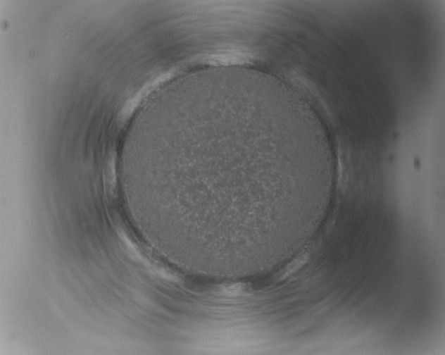 X0000051880202200507081922