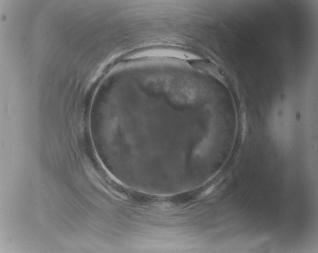 X0000051880203200507081922