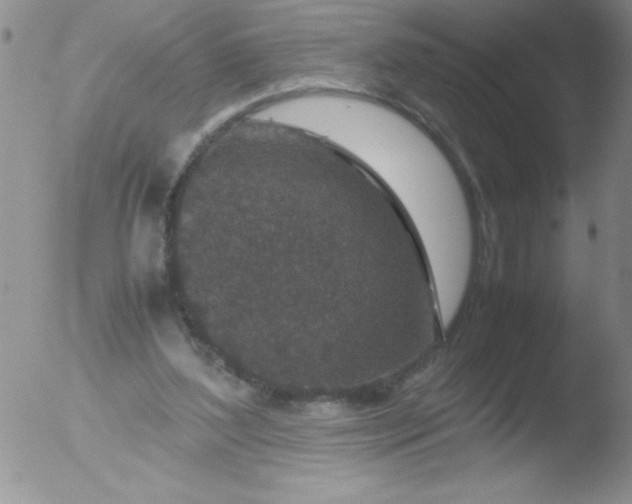 X0000051880204200507081922