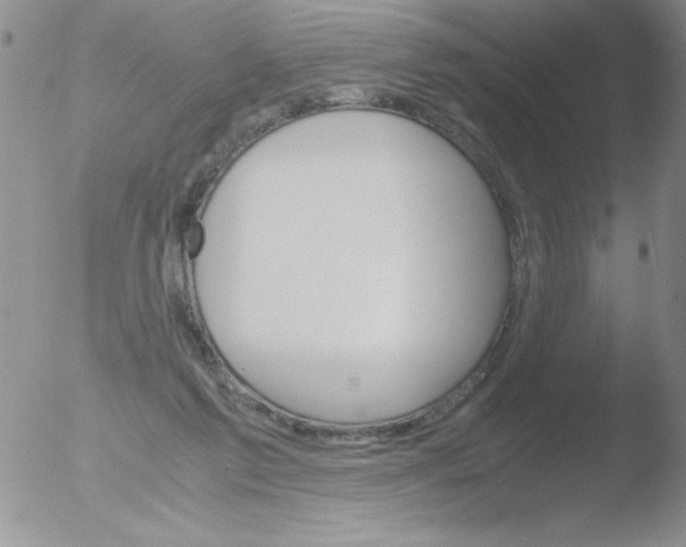 X0000051880213200507081922