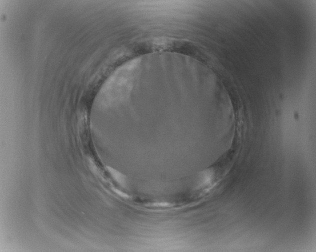 X0000051880225200507081921