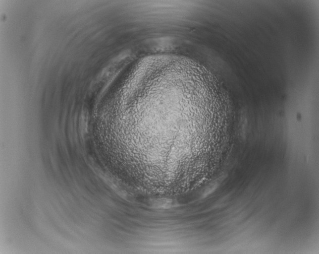 X0000051880230200507081921
