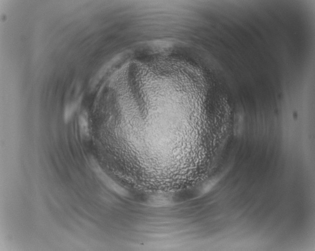 X0000051880238200507081921