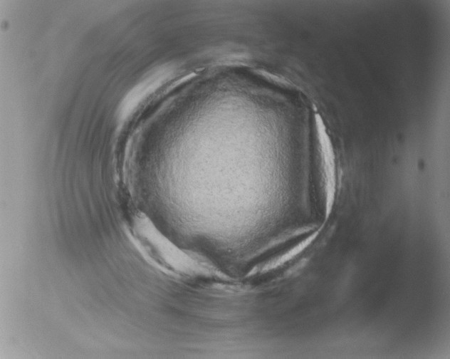 X0000051880245200507081920