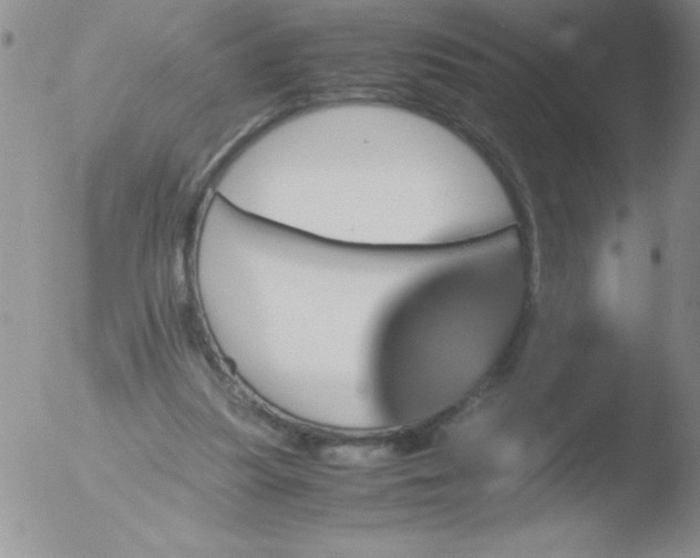 X0000051880251200507081920