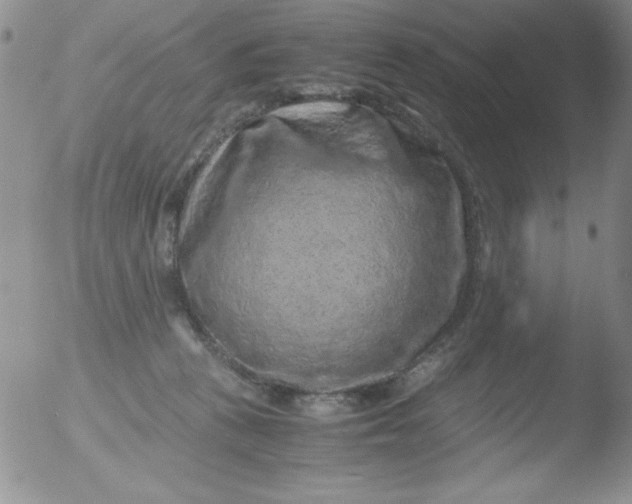 X0000051880273200507081921