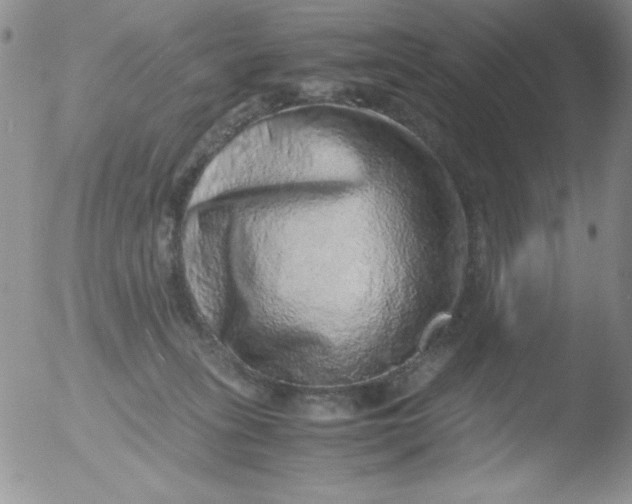 X0000051880275200507081921