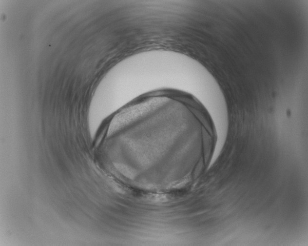 X0000051880276200507081921