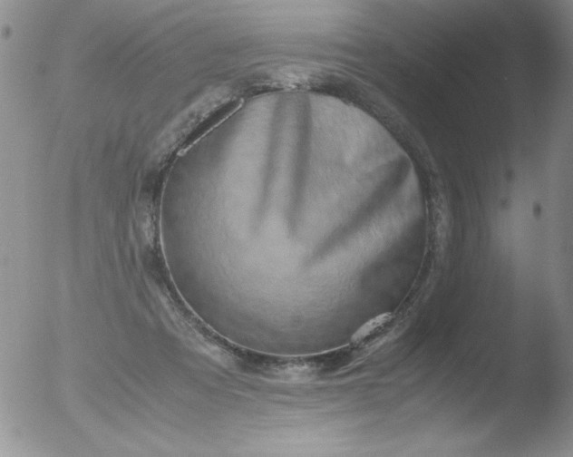 X0000051880313200507081920