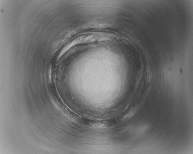 X0000051880358200507081919