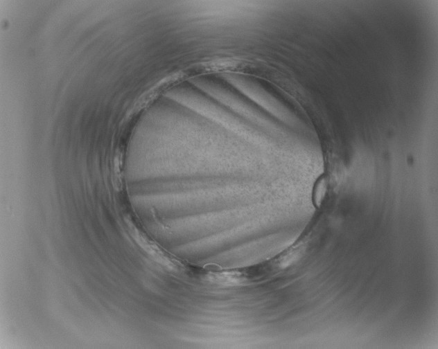 X0000051880378200507081919