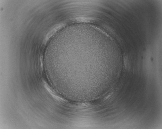 X0000051880398200507081918