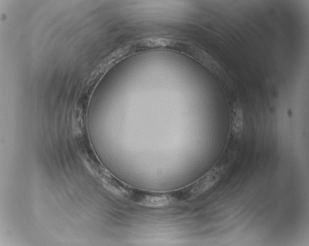 X0000051880414200507081918