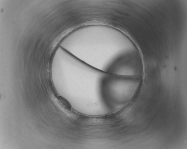 X0000051880437200507081917
