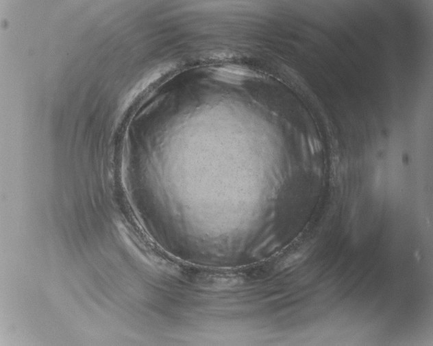 X0000051880443200507081917