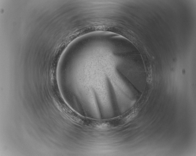 X0000051880456200507081917
