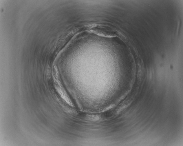 X0000051880469200507081918