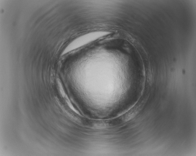 X0000051880470200507081918