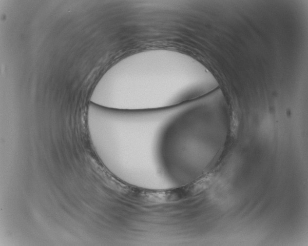 X0000051880473200507081918