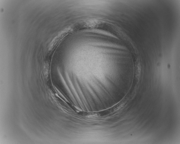 X0000051880505200507081917