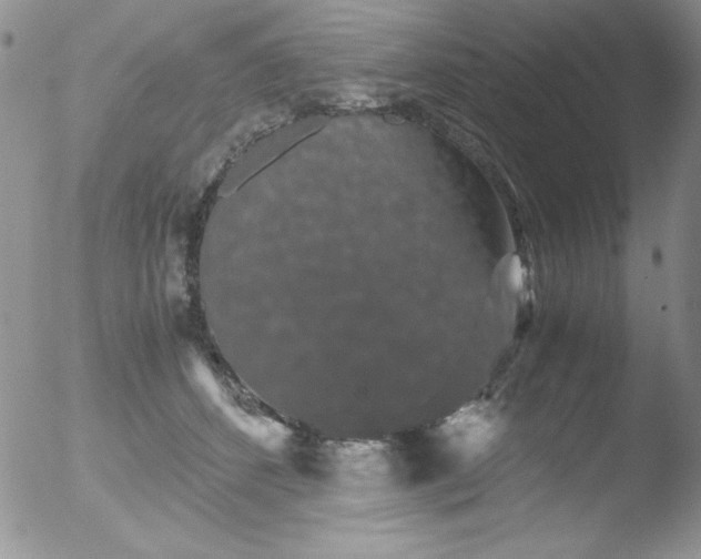 X0000051880512200507081917