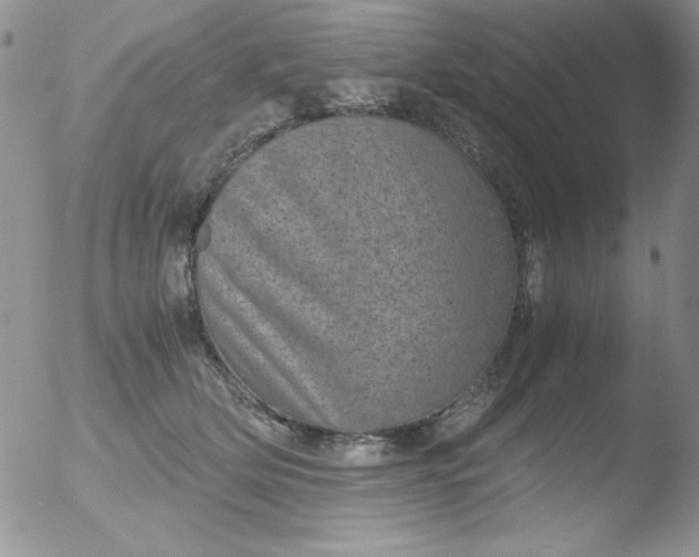 X0000051880514200507081916