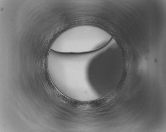 X0000051880551200507081916