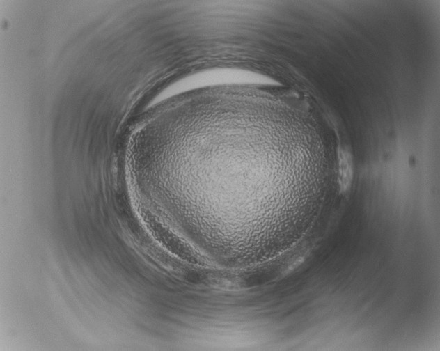 X0000051880552200507081916