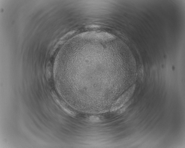 X0000051880566200507081916