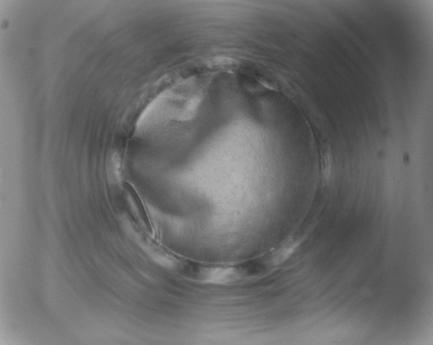 X0000051880575200507081916