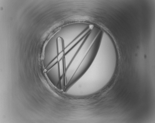 X0000051880581200507081915