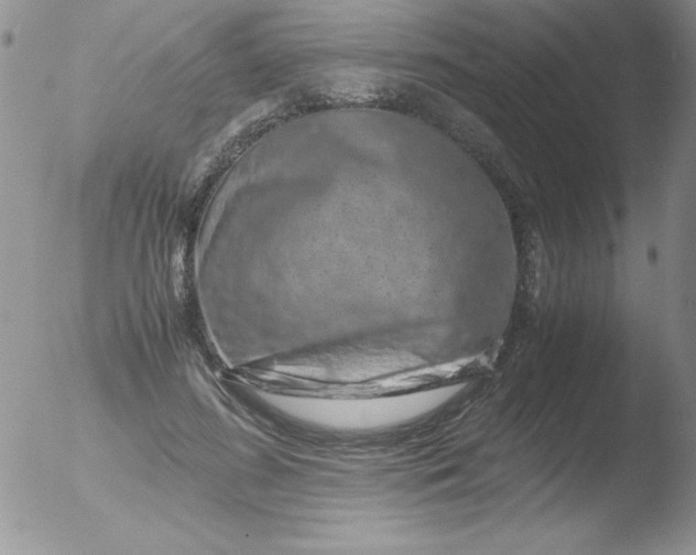 X0000051880596200507081915